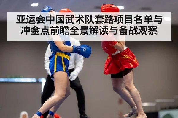 wushu martial arts competition